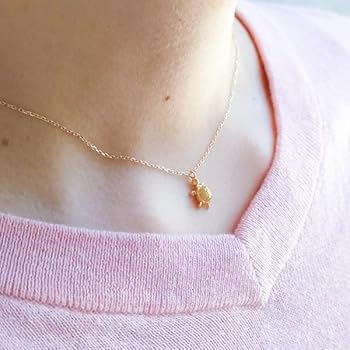 18金ジャンク品 Amazon | [J-ブティック 京都 シャンボール] ネックレス 亀 18金